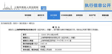 哔哩哔哩因不履行法律义务被上海高院列为被执行人 技术咨询及技术服务纠纷的警示