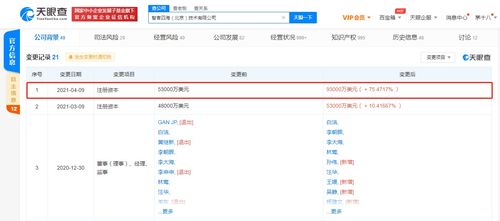 关联公司注册资本大幅提升至9.3亿美元，增幅超75.47%，聚焦技术咨询与技术服务领域
